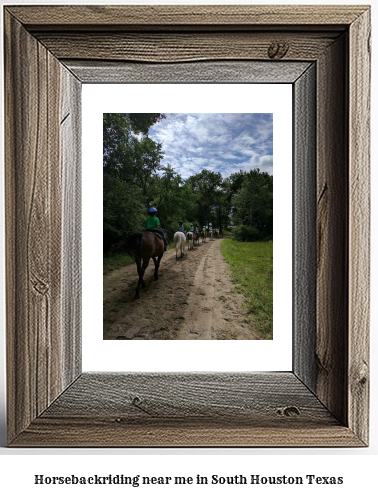 horseback riding near me in South Houston, Texas